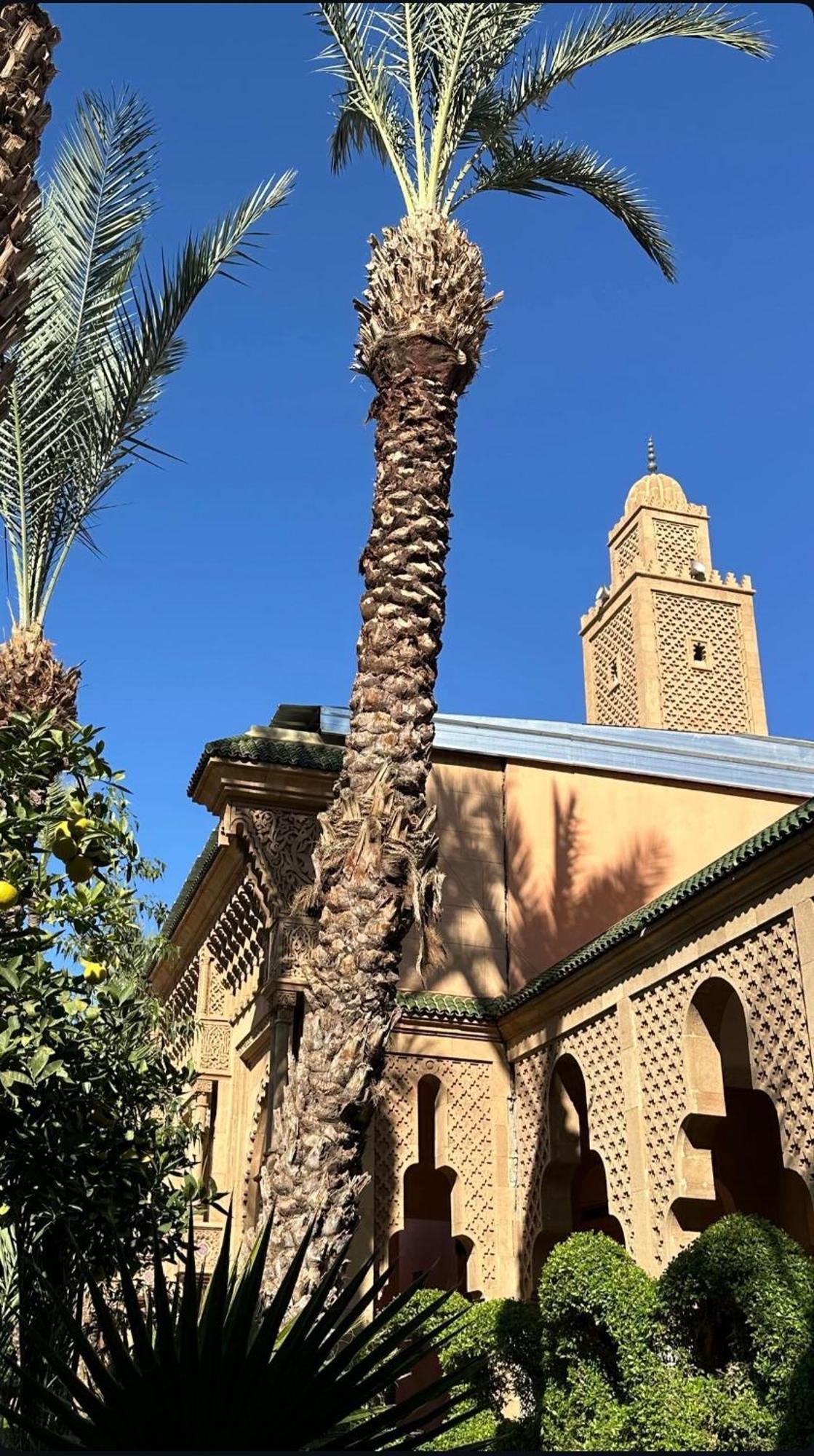 Riad Majestic Marrakech Μαρακές Εξωτερικό φωτογραφία